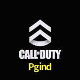  Pgind