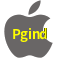Aplicativo Pgind para iOS